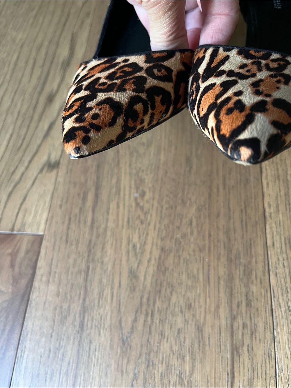 Leopard Print D’Orsay Calf-hair Pointed Toe Heels - Black and Tan - Picture 3 of 9
